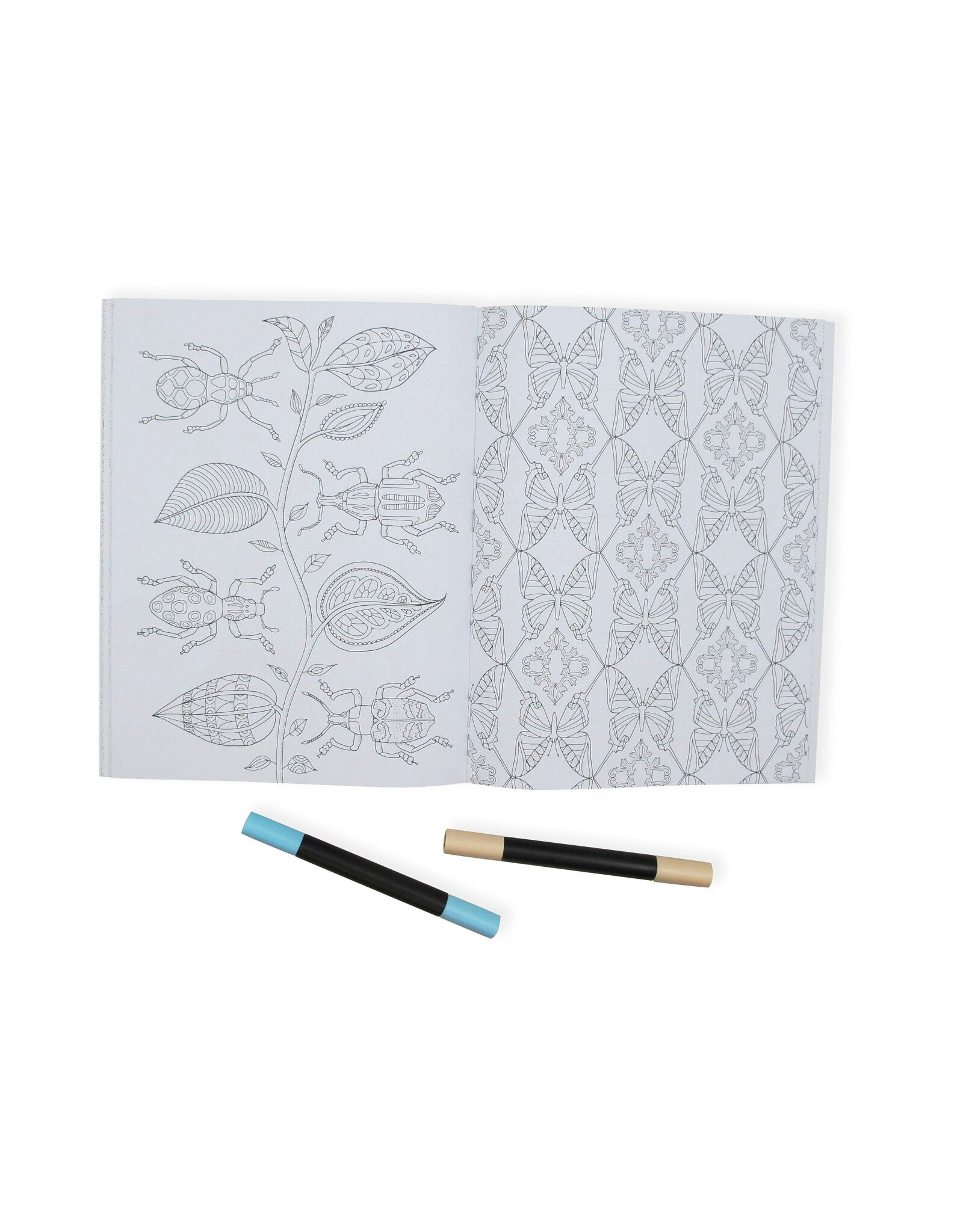 Wonderful Insects Coloring Book