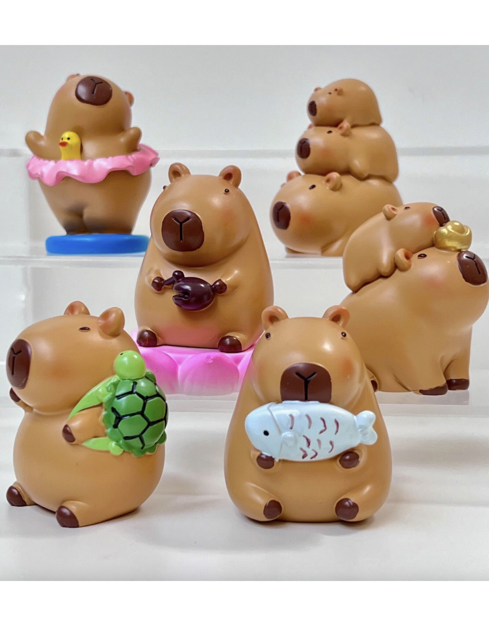 Capybara Life Blind Box
