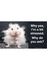 Why Yes I'm a Bit Stressed Sticker