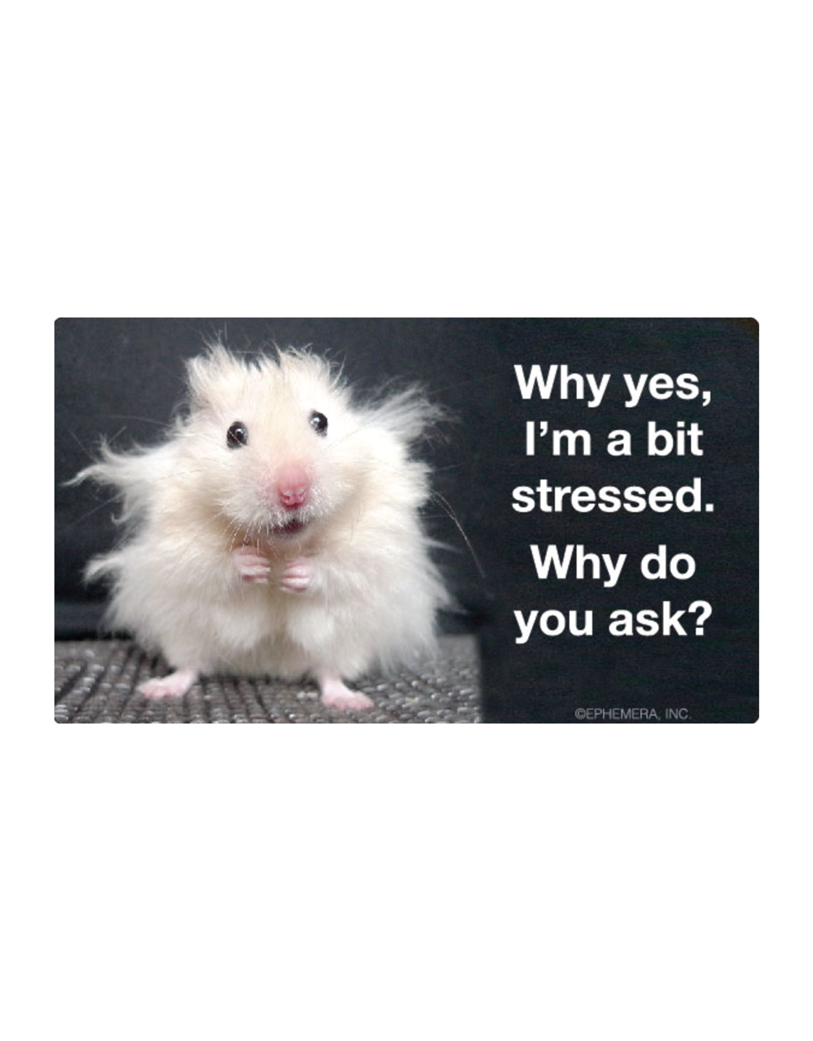 Why Yes I'm a Bit Stressed Sticker