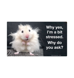 Why Yes I'm a Bit Stressed Sticker