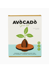 Avocado Grow Kit