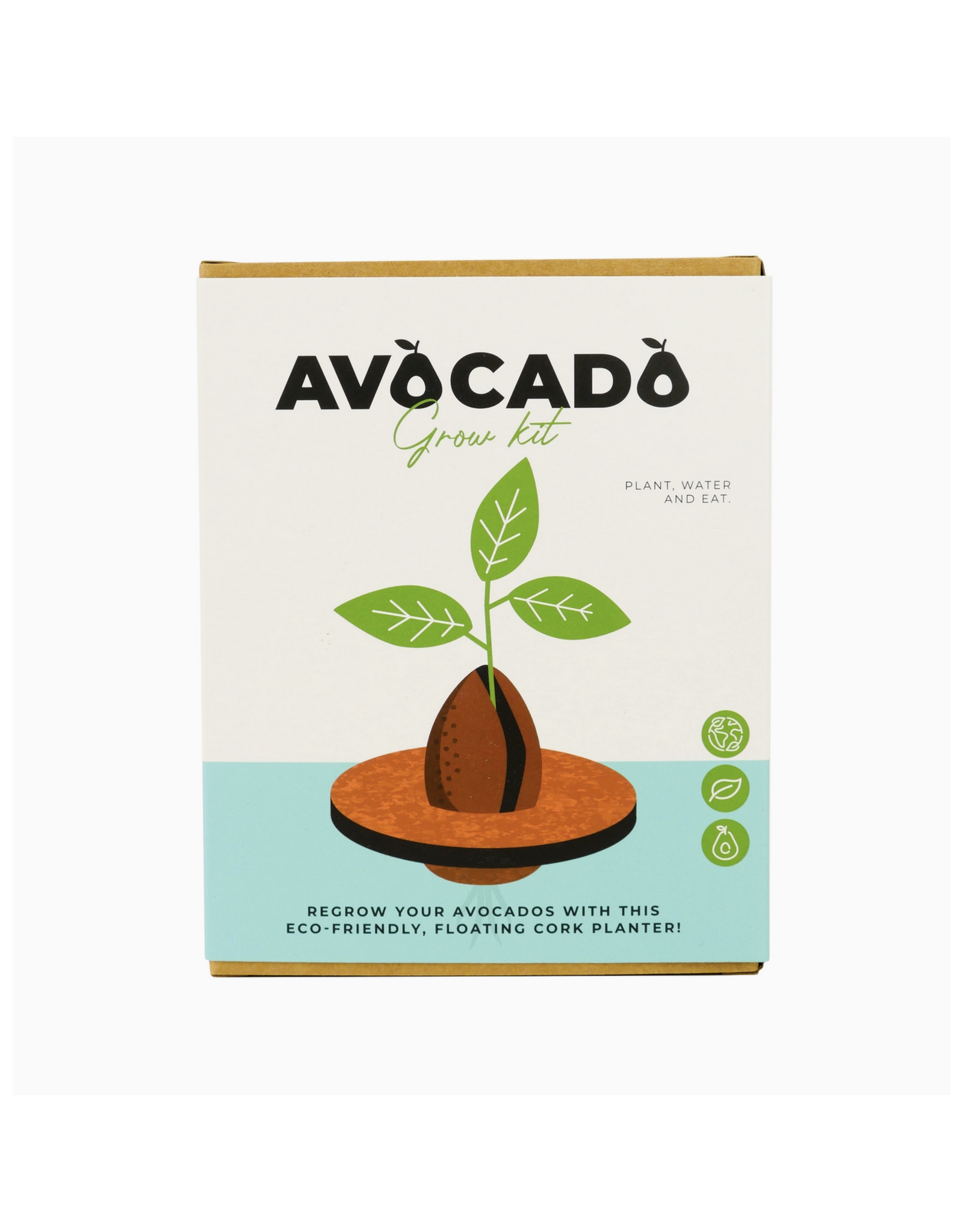 Avocado Grow Kit