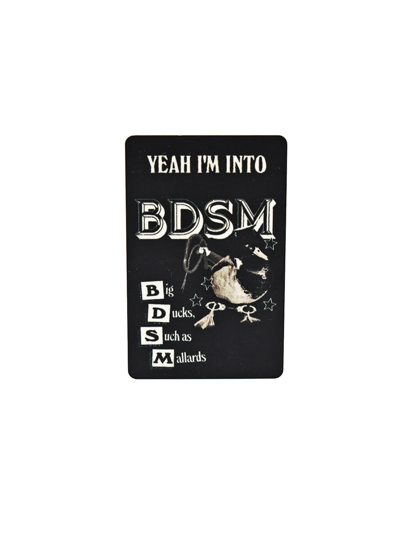 BDSM Magnet