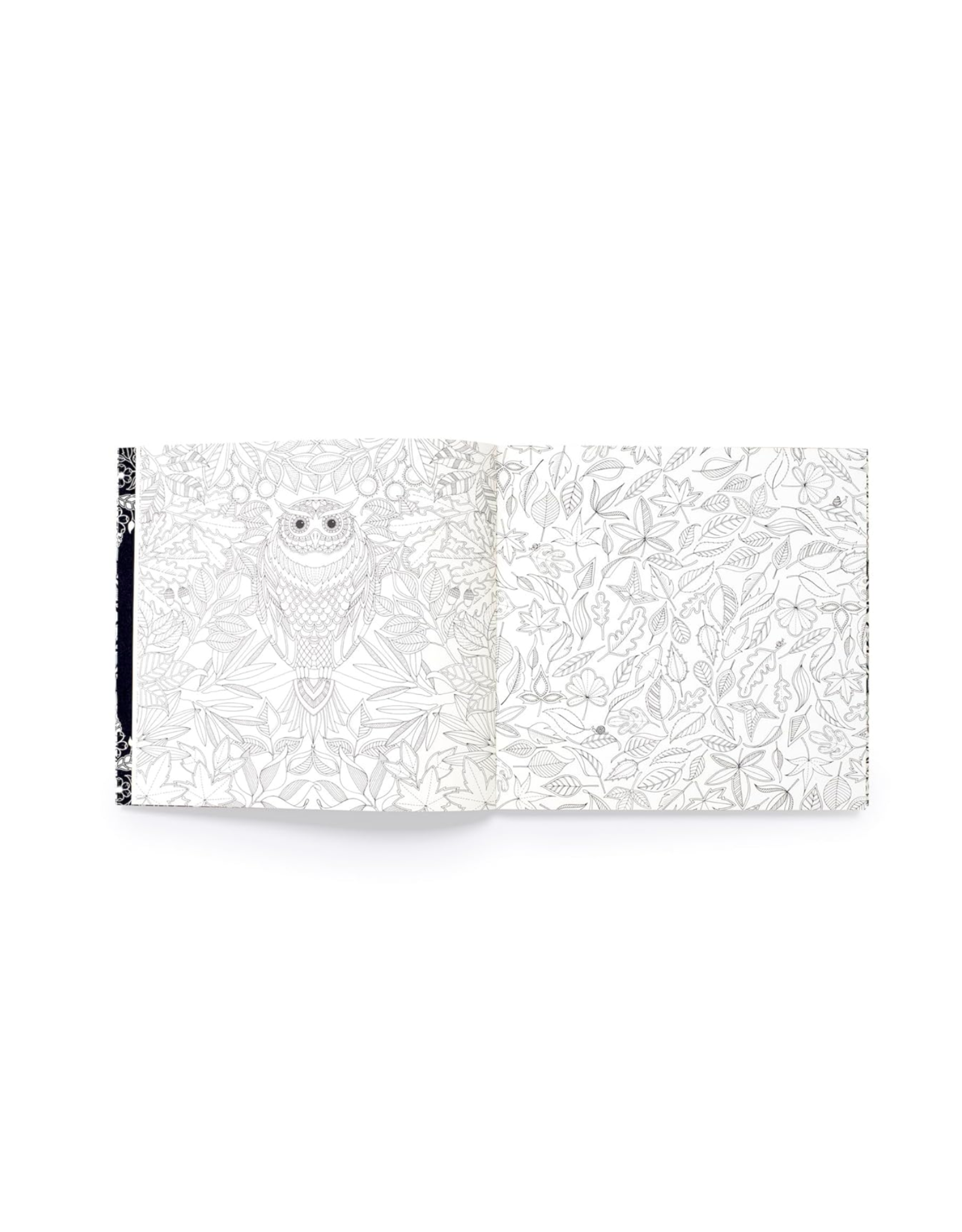 Secret Garden Coloring Book - 10th Anniversary Edition
