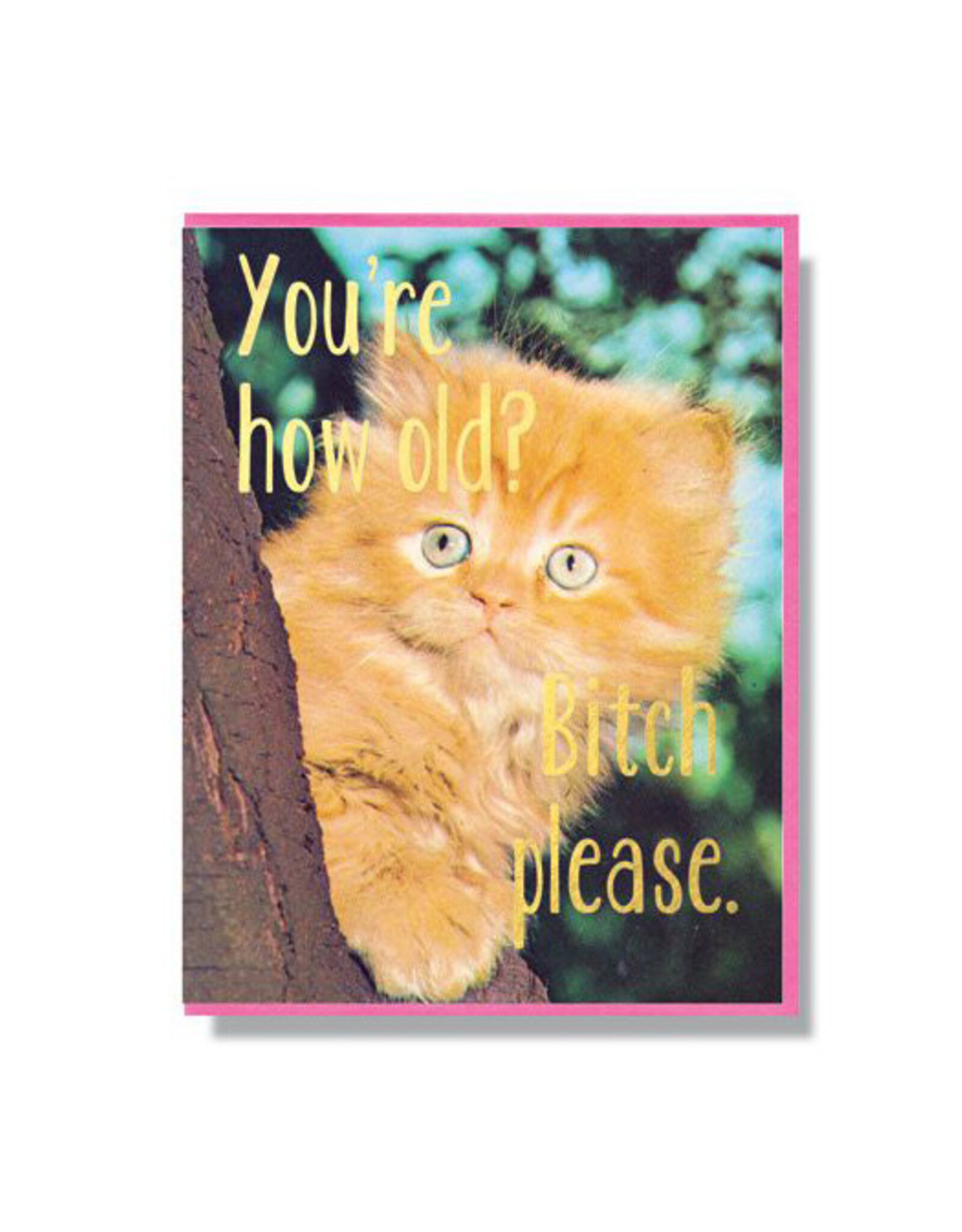 You're How Old? Bitch Please Greeting Card