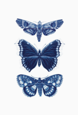 Sapphire Moths Tattoo Pair