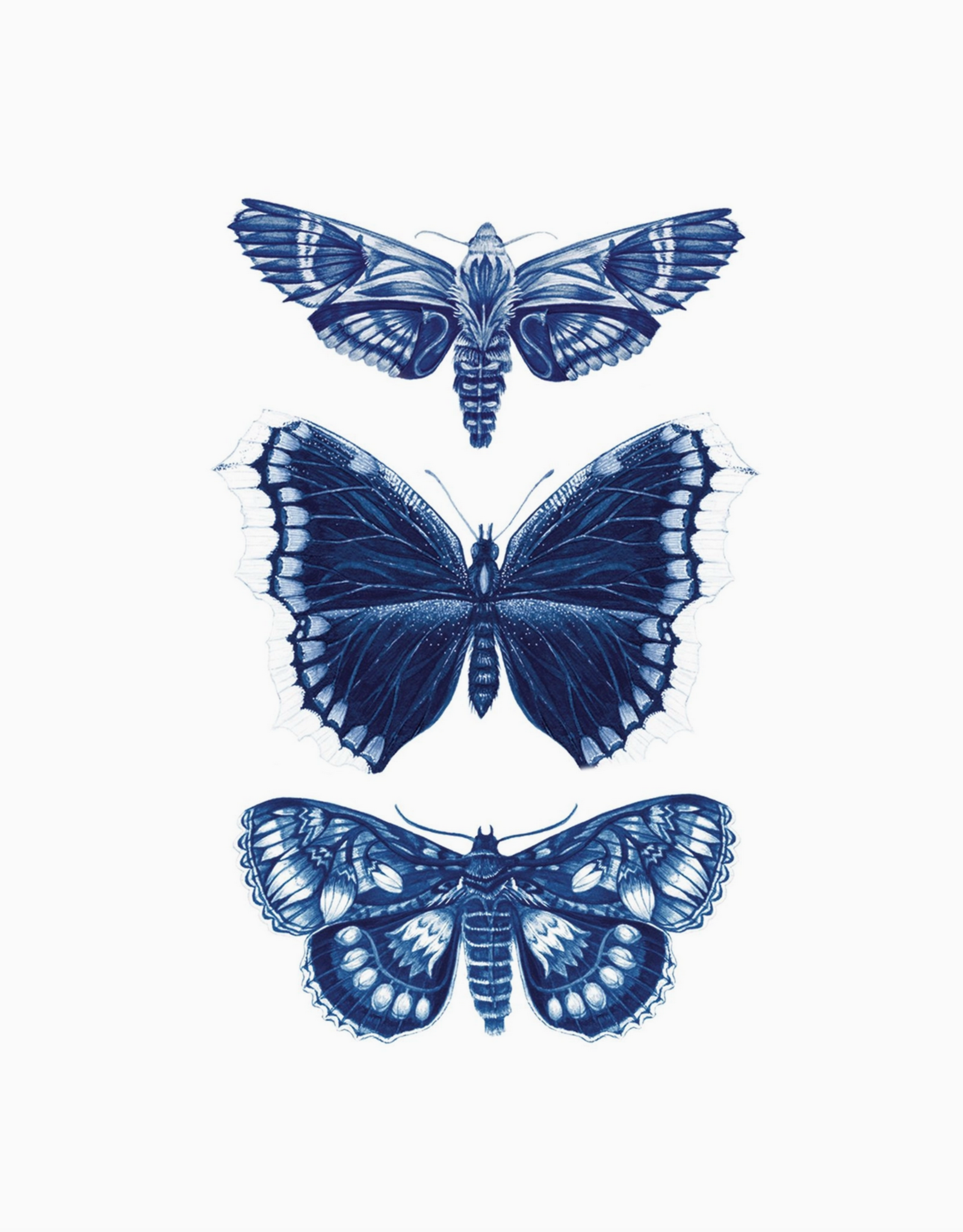 Sapphire Moths Tattoo Pair