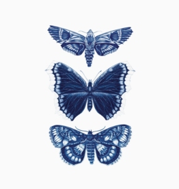 Sapphire Moths Tattoo Pair
