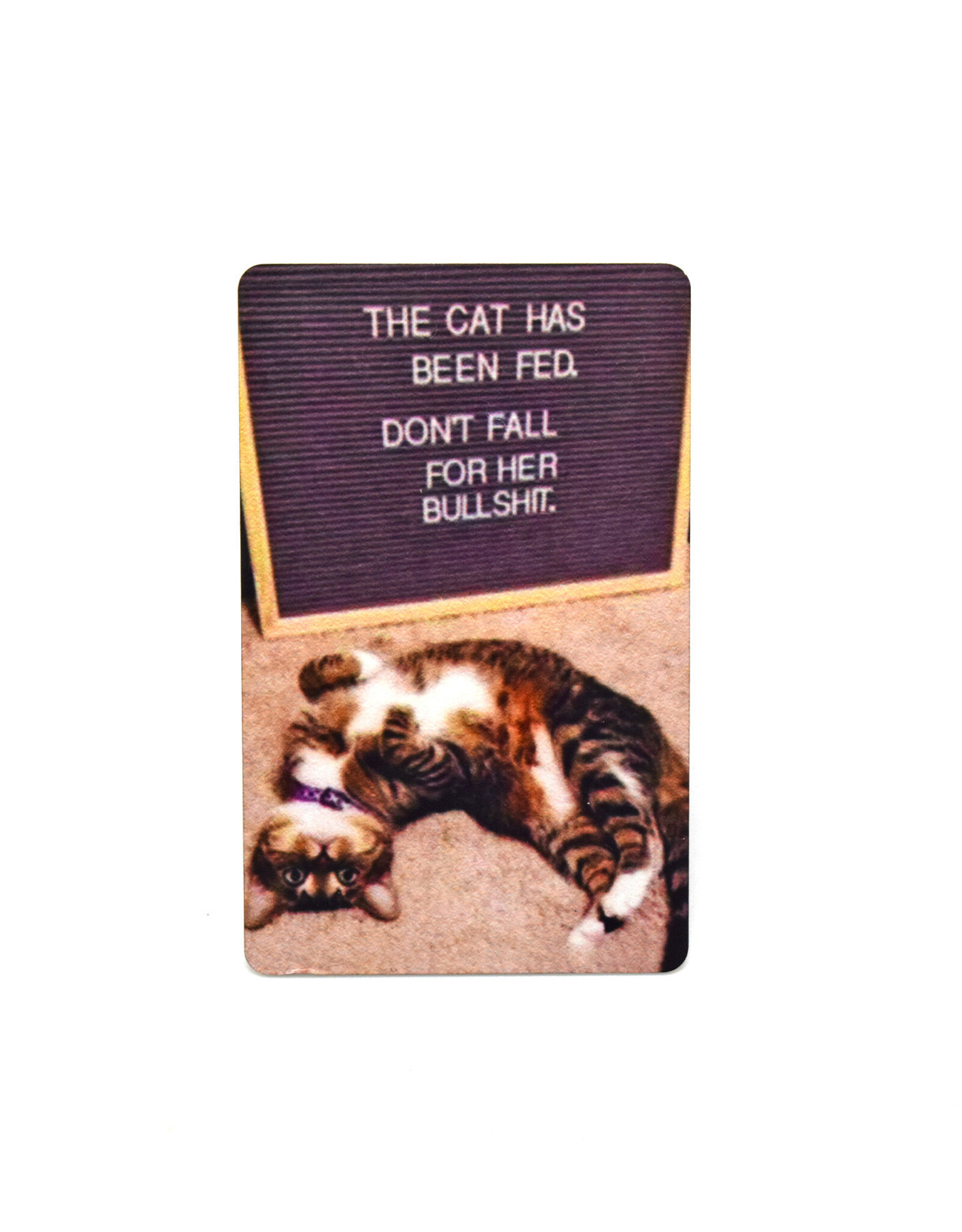 The Cat Has Been Fed Magnet (Spinx)