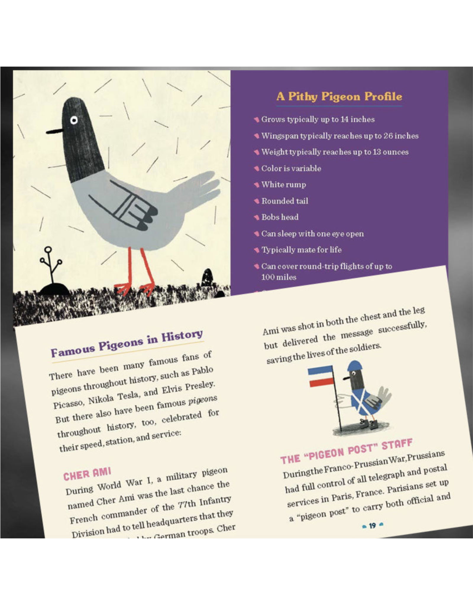 Mini Office Messenger Pigeon