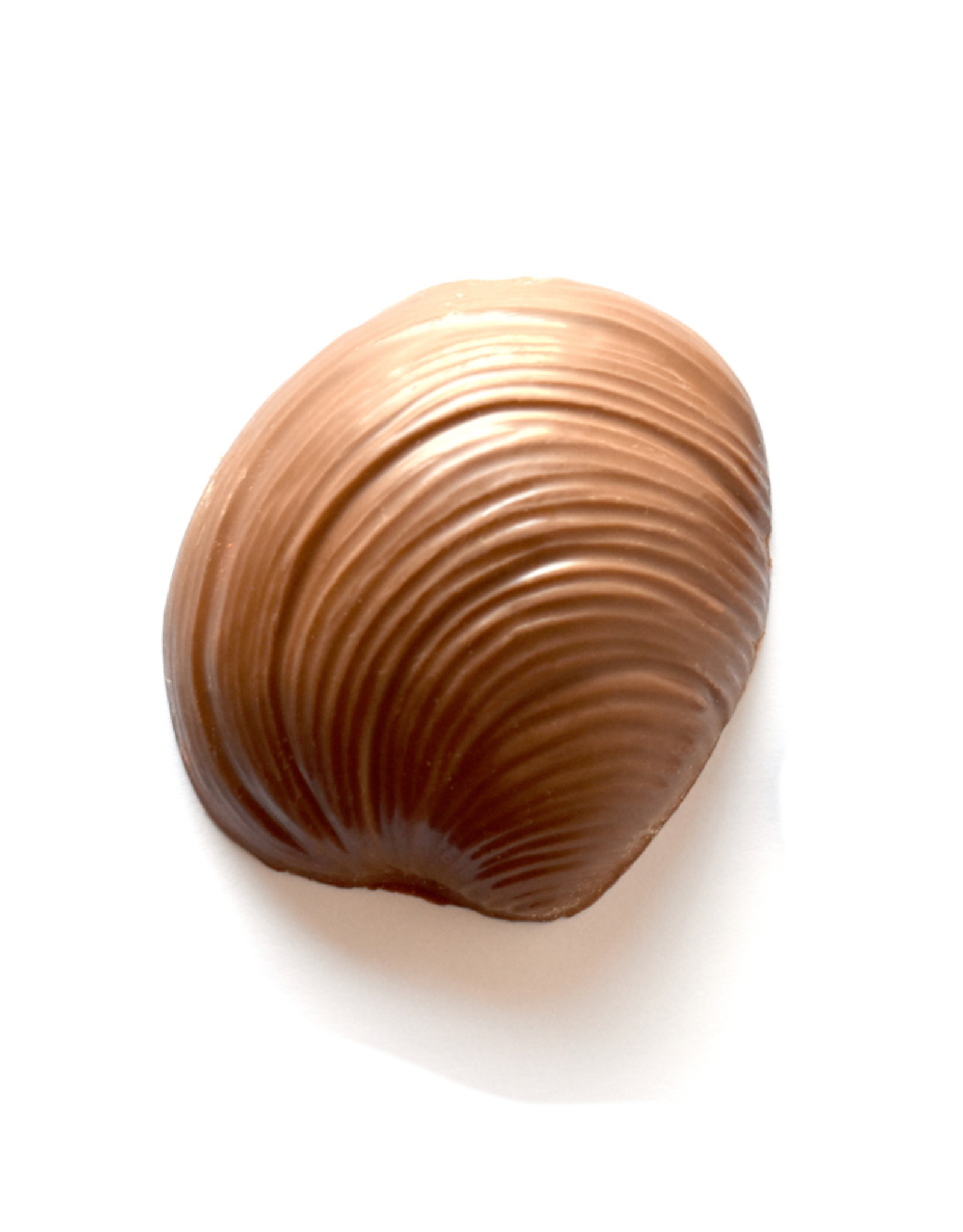 Milk Chocolate Quahog