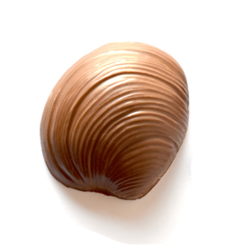 Milk Chocolate Quahog