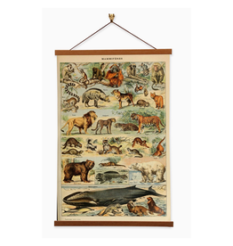 Mammiferes (Mammals) Canvas Print