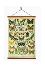 Papillons Set C Canvas Print Papillons Set C Canvas Print