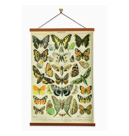 Papillons Set C Canvas Print Papillons Set C Canvas Print