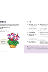 How To Grow Flowers In Small Spaces