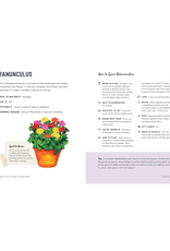 How To Grow Flowers In Small Spaces