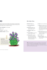 How To Grow Flowers In Small Spaces