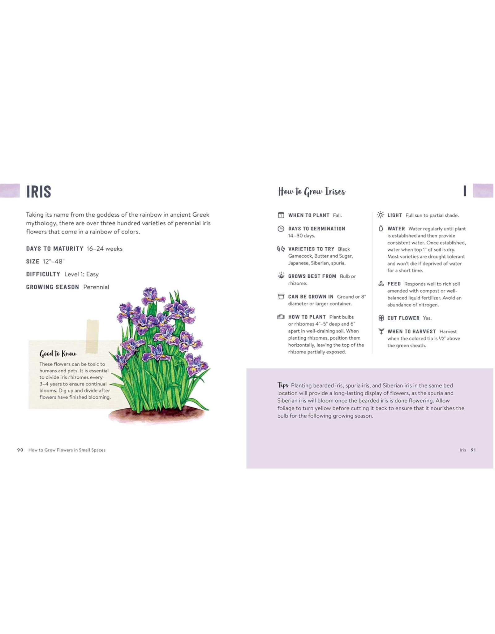 How To Grow Flowers In Small Spaces