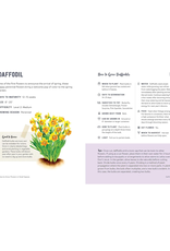How To Grow Flowers In Small Spaces