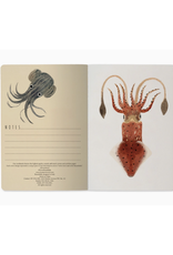Deep Sea Notebook