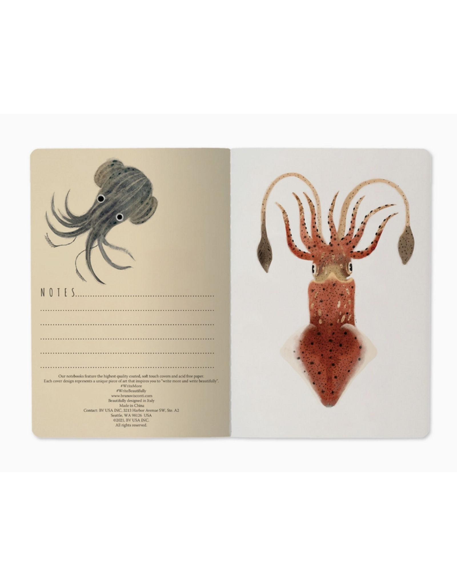 Deep Sea Notebook