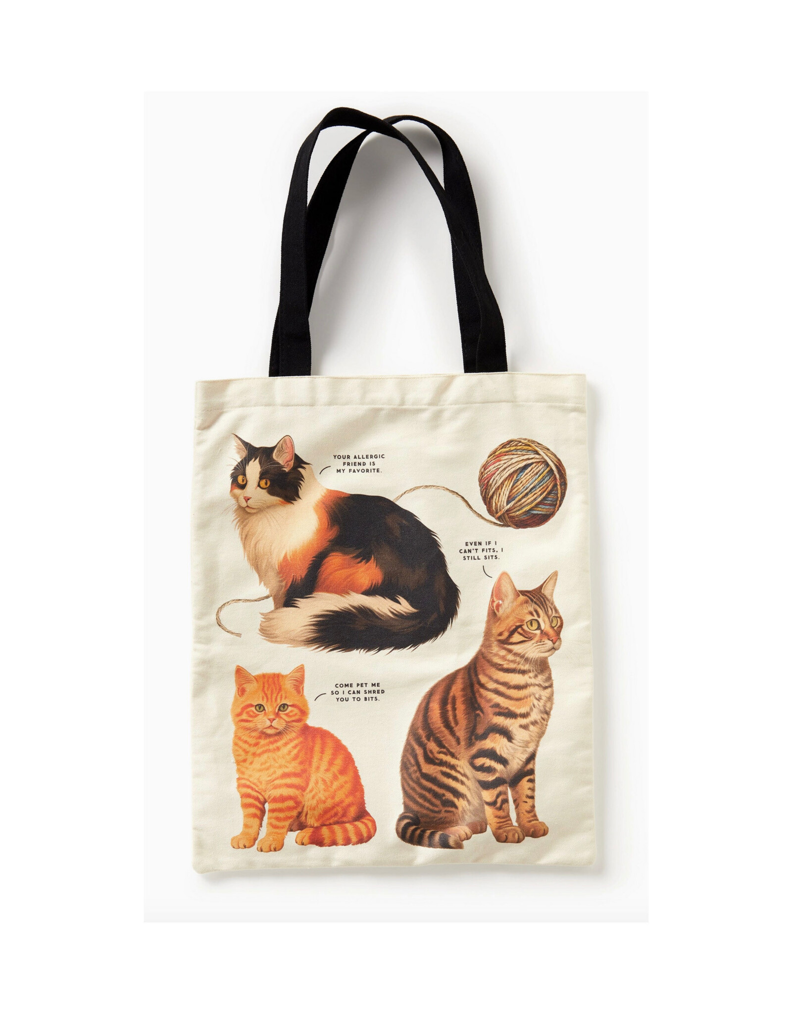 Moody Cats Canvas Tote
