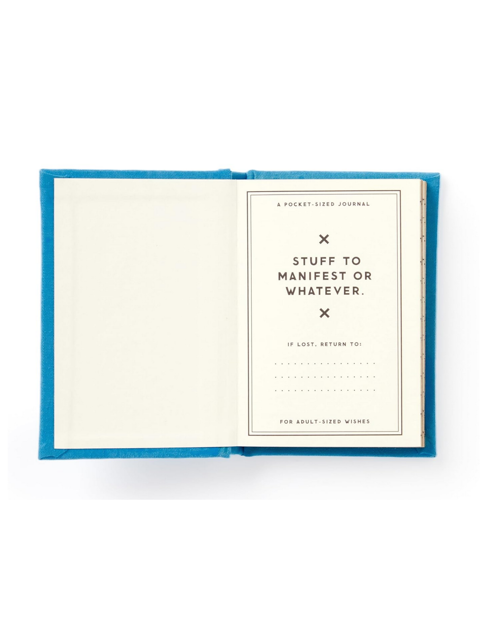 Tiny Hopes and Dreams Diary