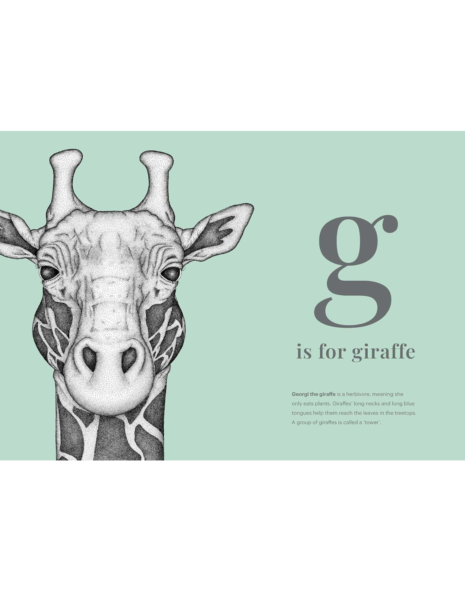 The Animal Alphabet