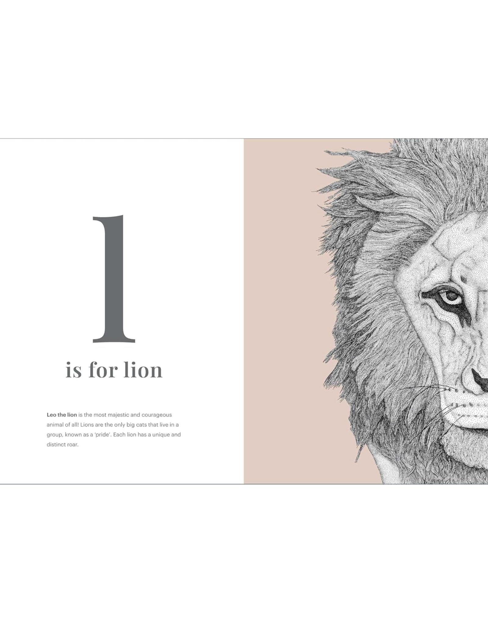 The Animal Alphabet