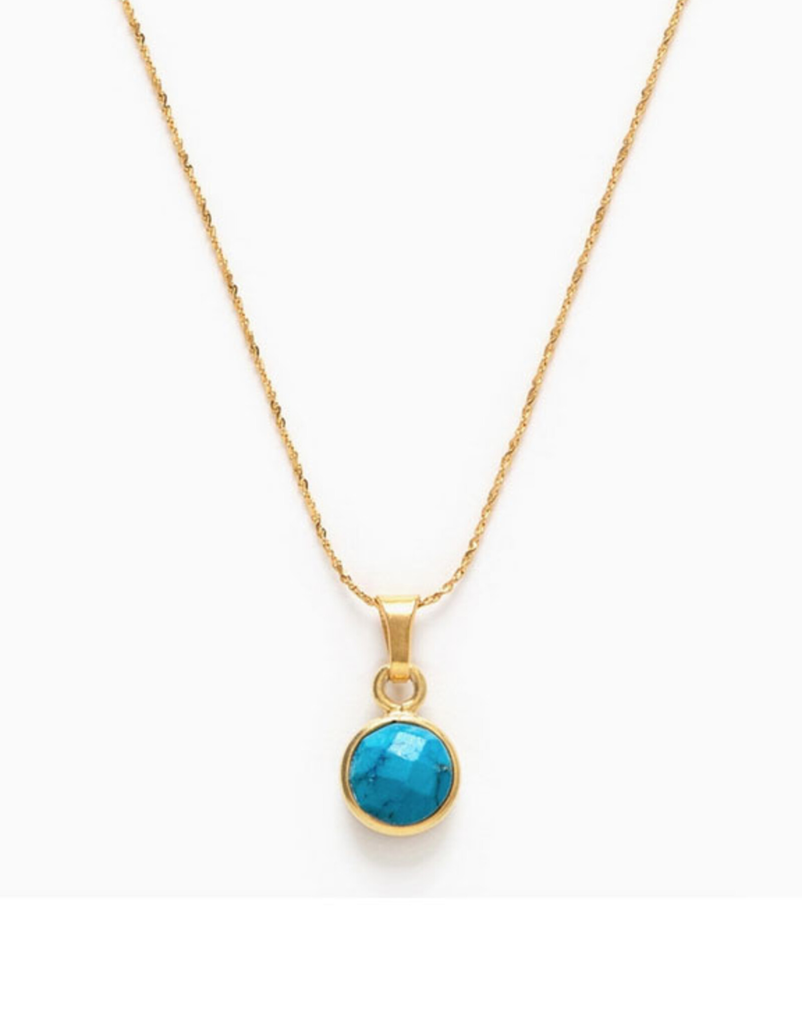 Turquoise December Necklace