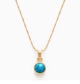 Turquoise Birthstone Necklace - December