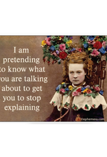 Pretending To Know What You're Talking About Magnet
