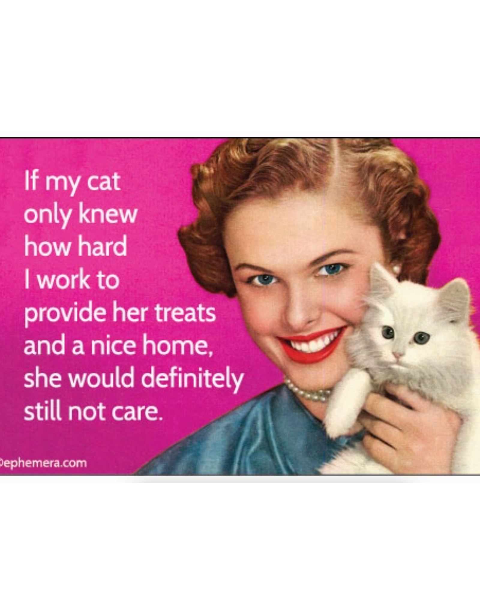 If My Cat Only Knew How Hard I Work Magnet