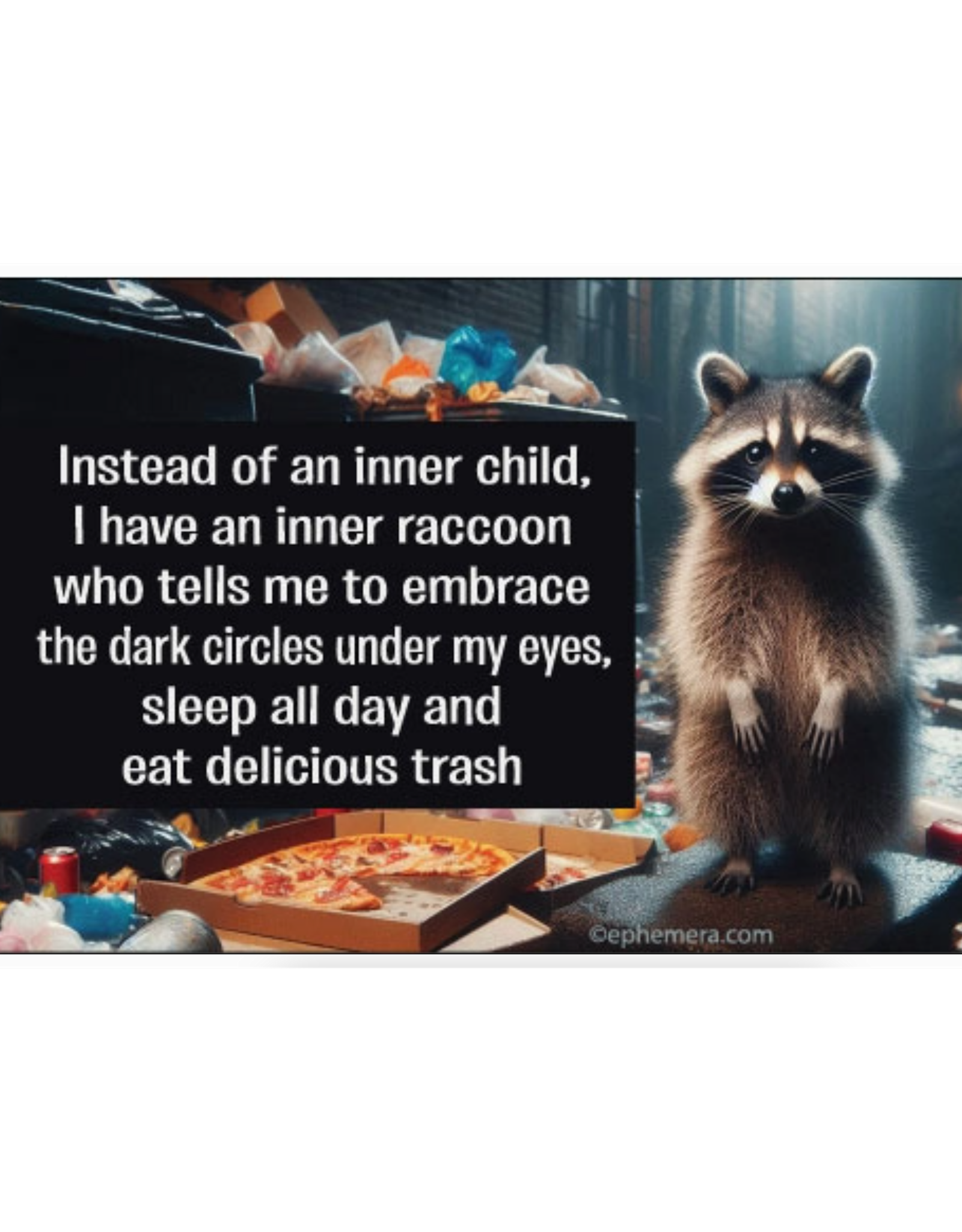 Instead Of an Inner Child, I Have an Inner Raccoon Magnet*