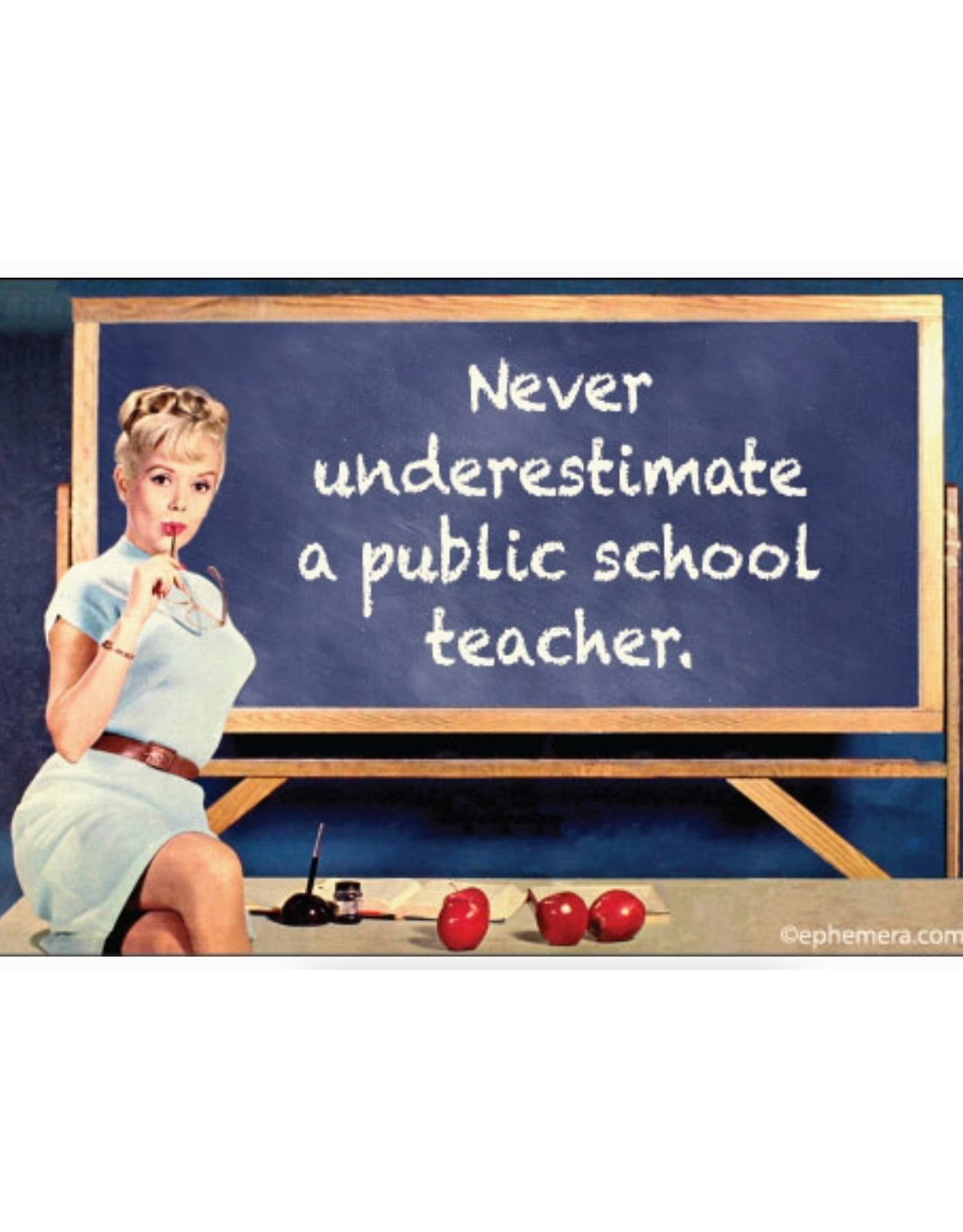Never Underestimate a Public School Teacher Magnet