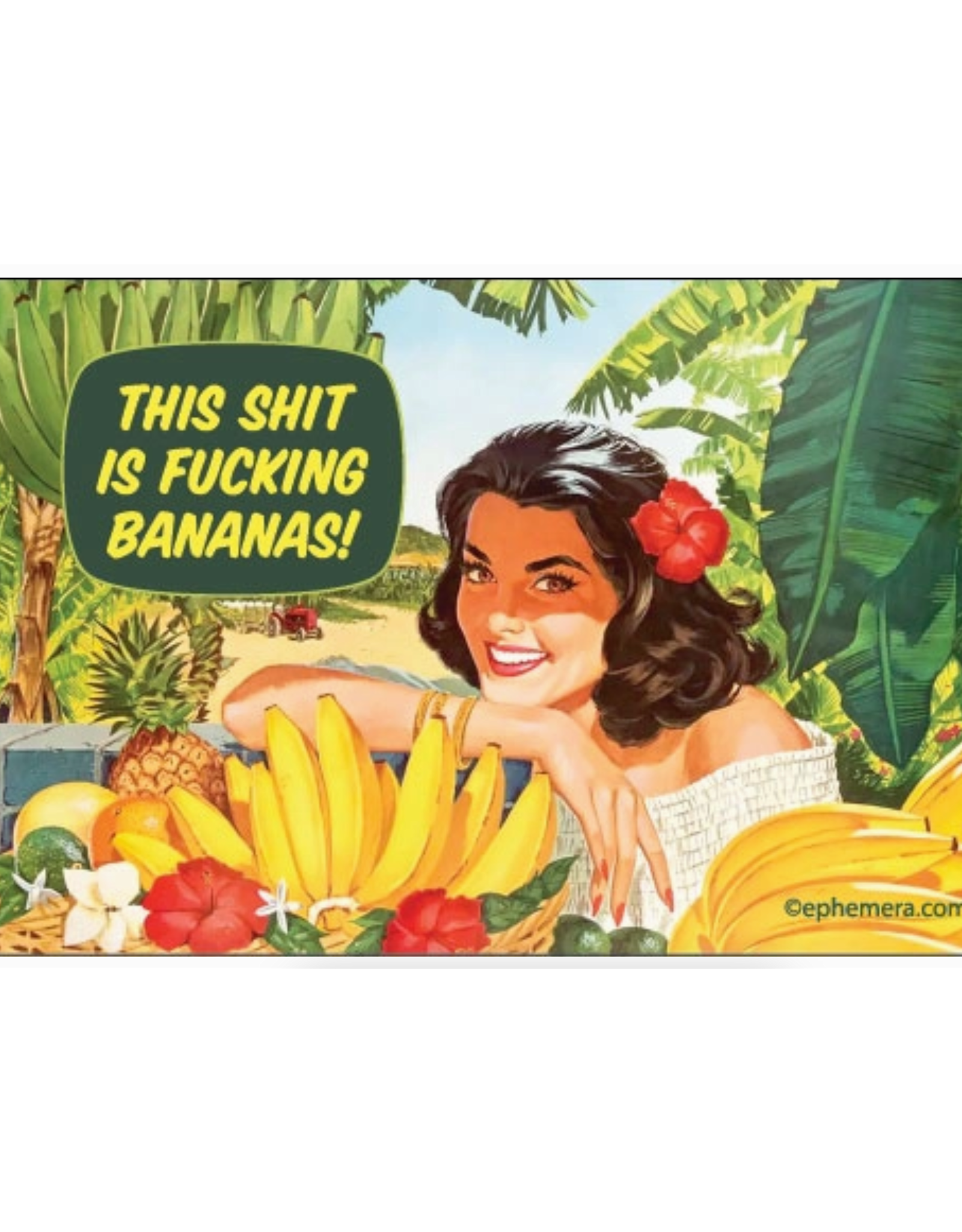 This Shit Is Fucking Bananas Magnet