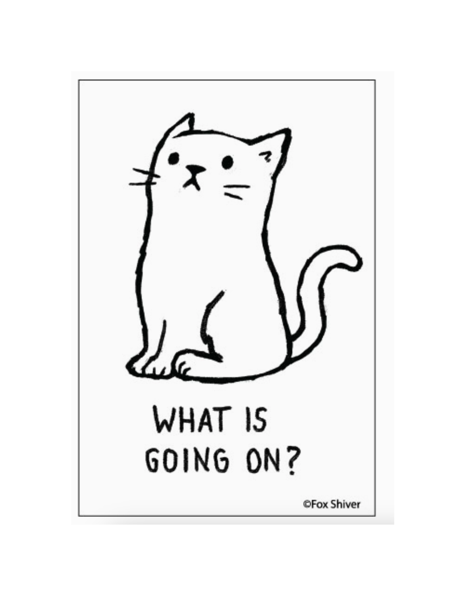 What Is Going On Cat Magnet