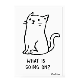 What Is Going On Cat Magnet