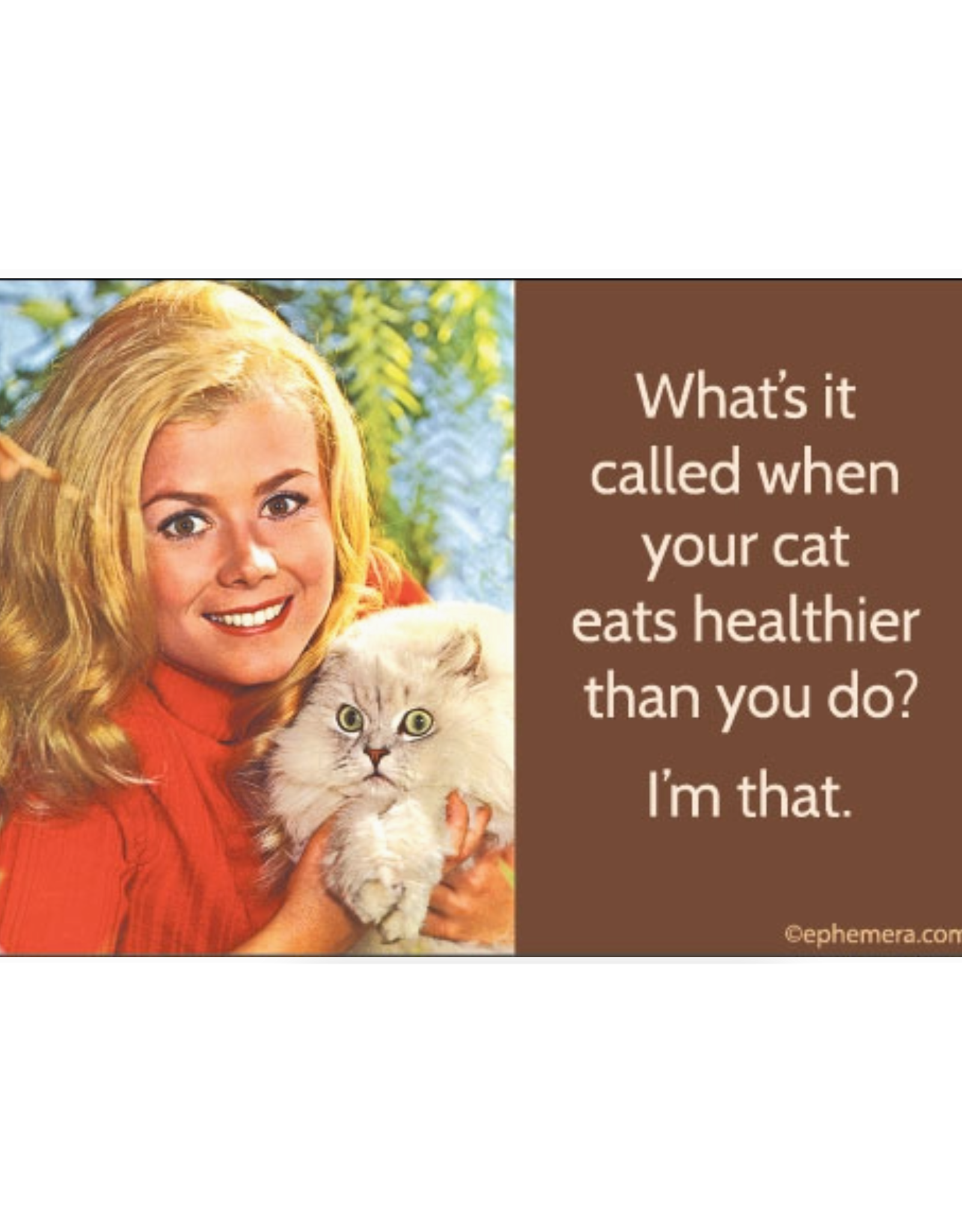 Cat Eats Healthier Than You Do Magnet