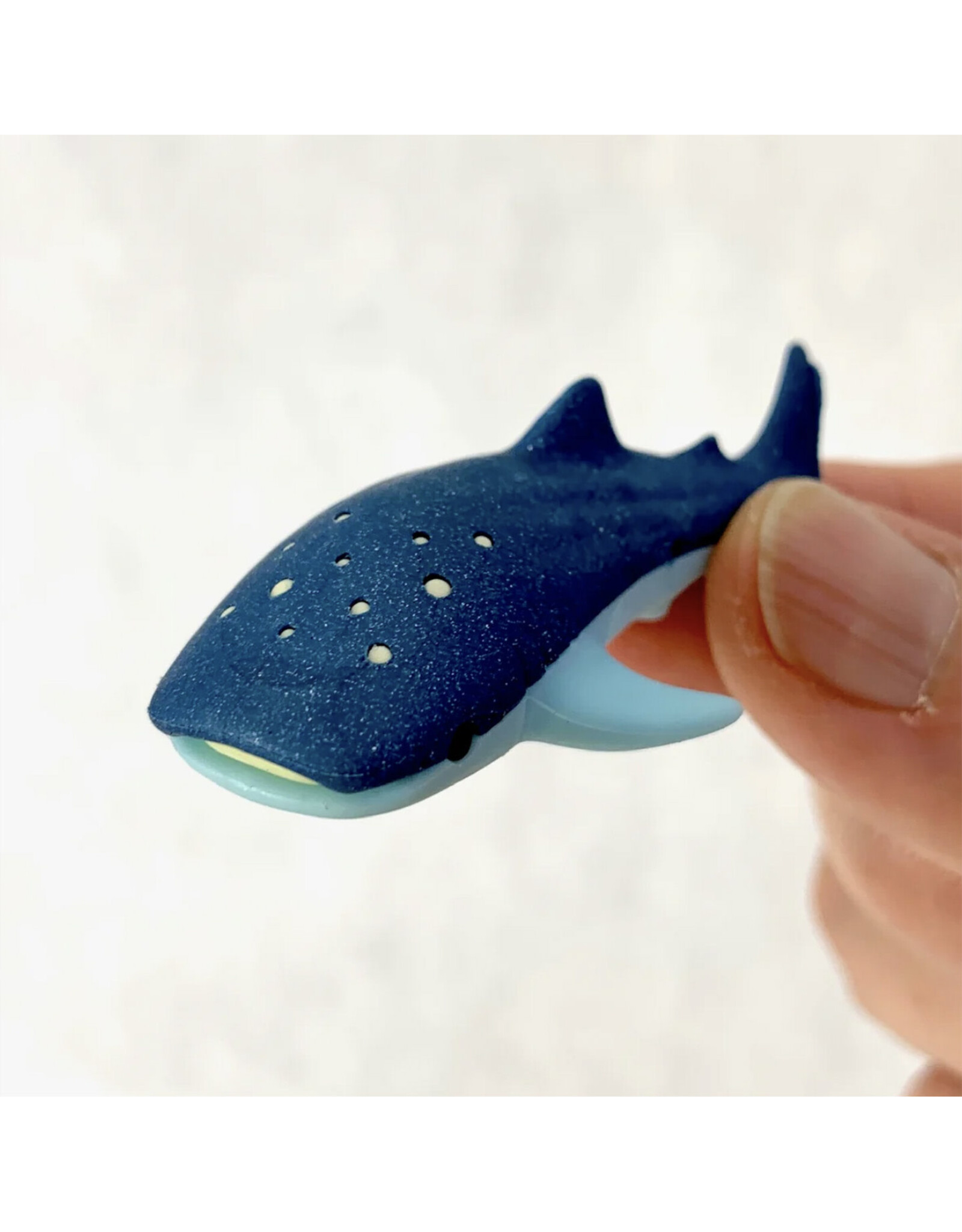 Iwako Whale Shark Eraser (Assorted)