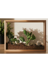 Vertical Garden Vertical Garden