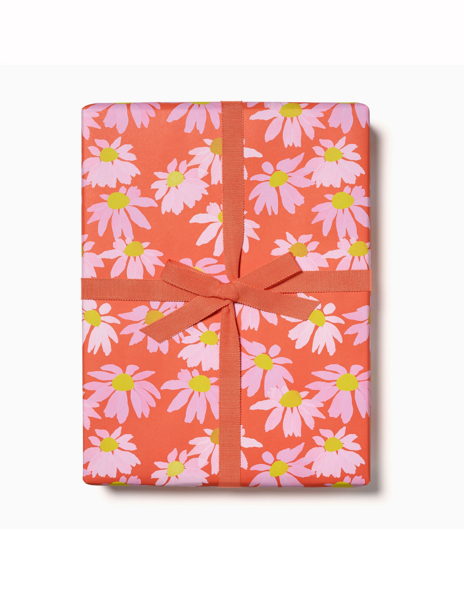 Coneflower Wrapping Paper - Curbside Only