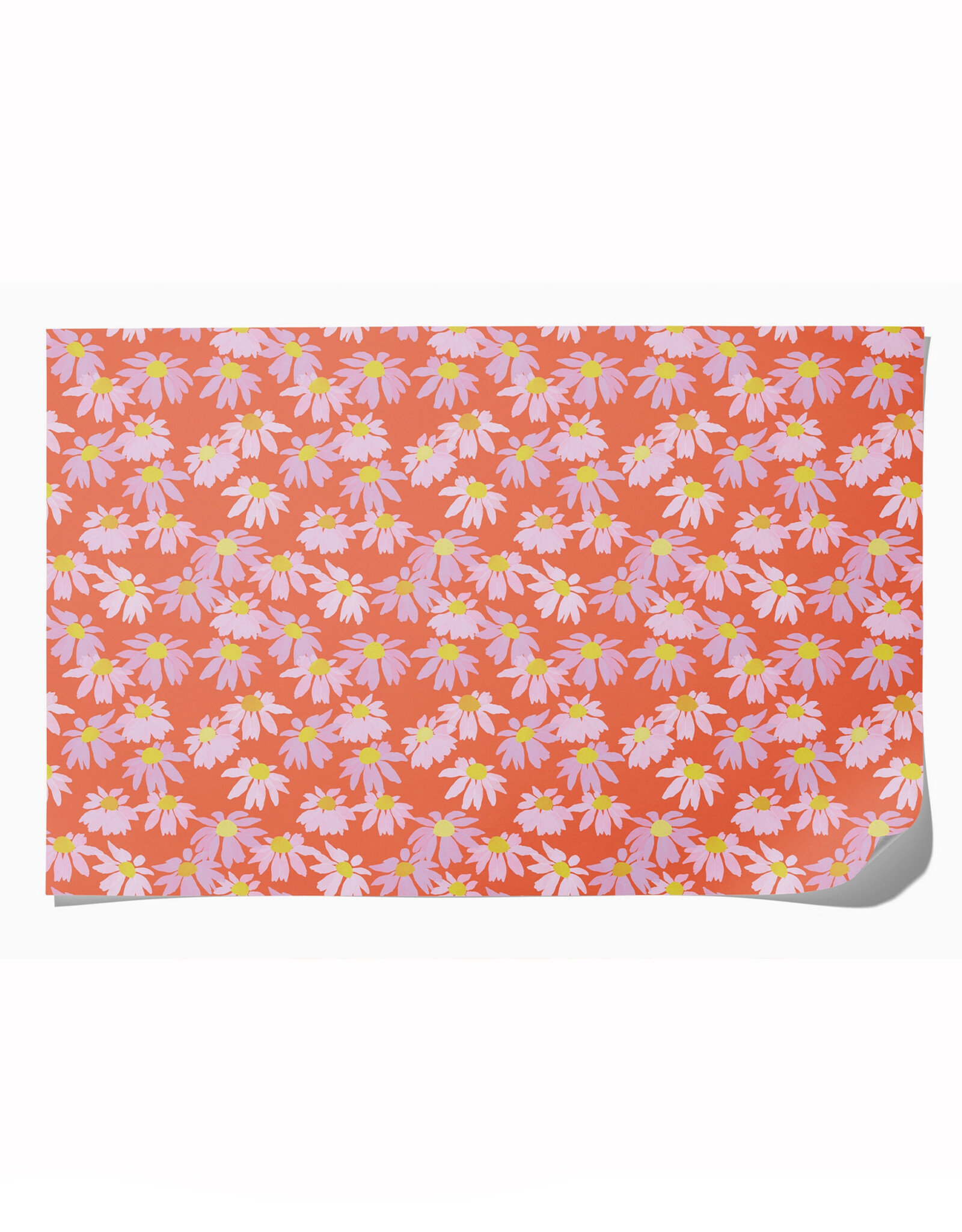 Coneflower Wrapping Paper - Curbside Only