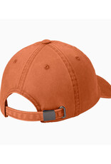 Have The Day You Voted For Hat