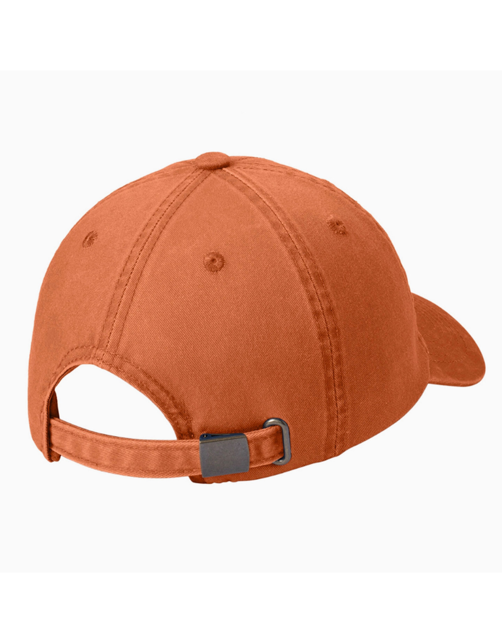 Have The Day You Voted For Hat