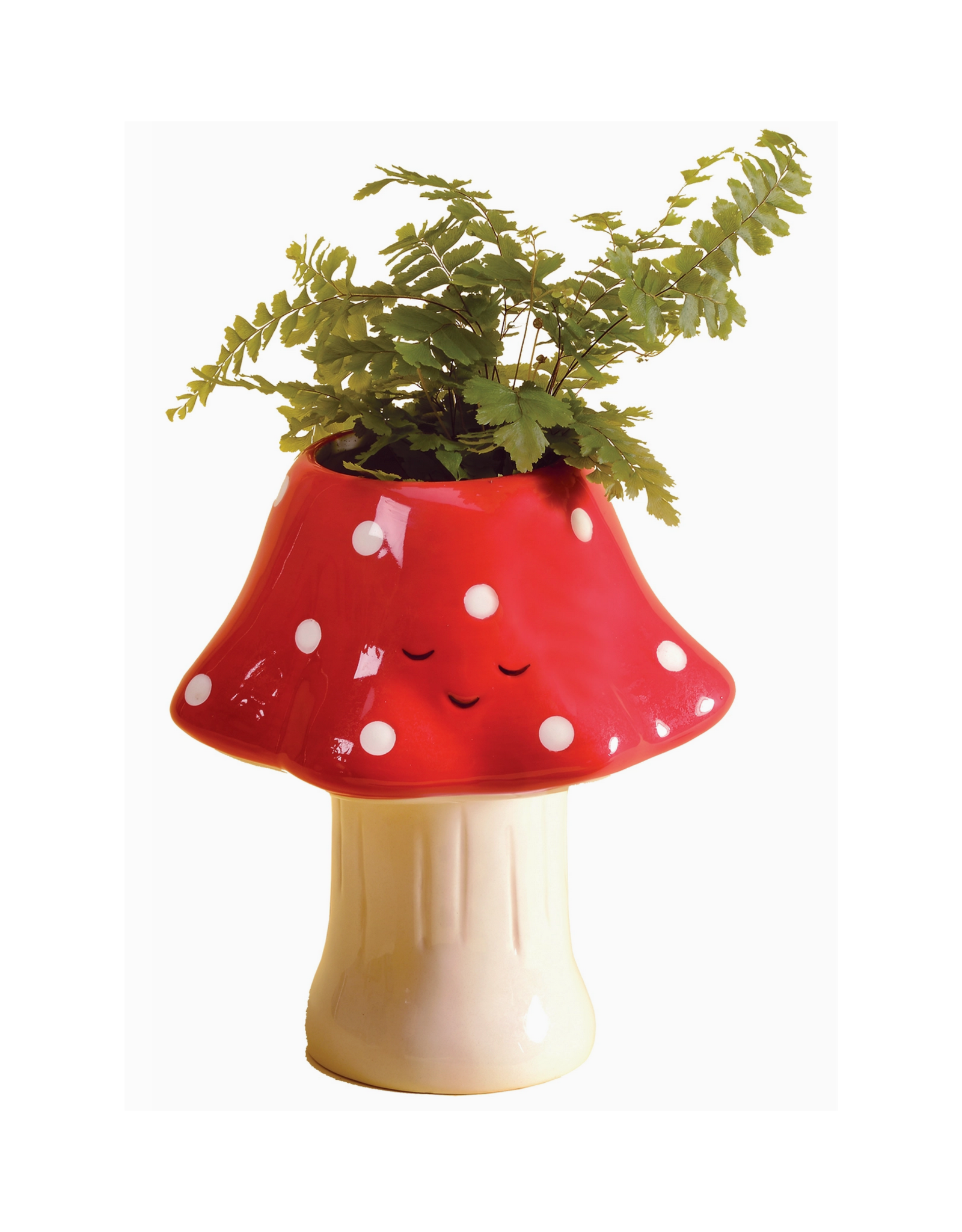 Kawaii Mushroom Planter