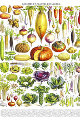 Vegetables Legumes - 1000 Piece Puzzle