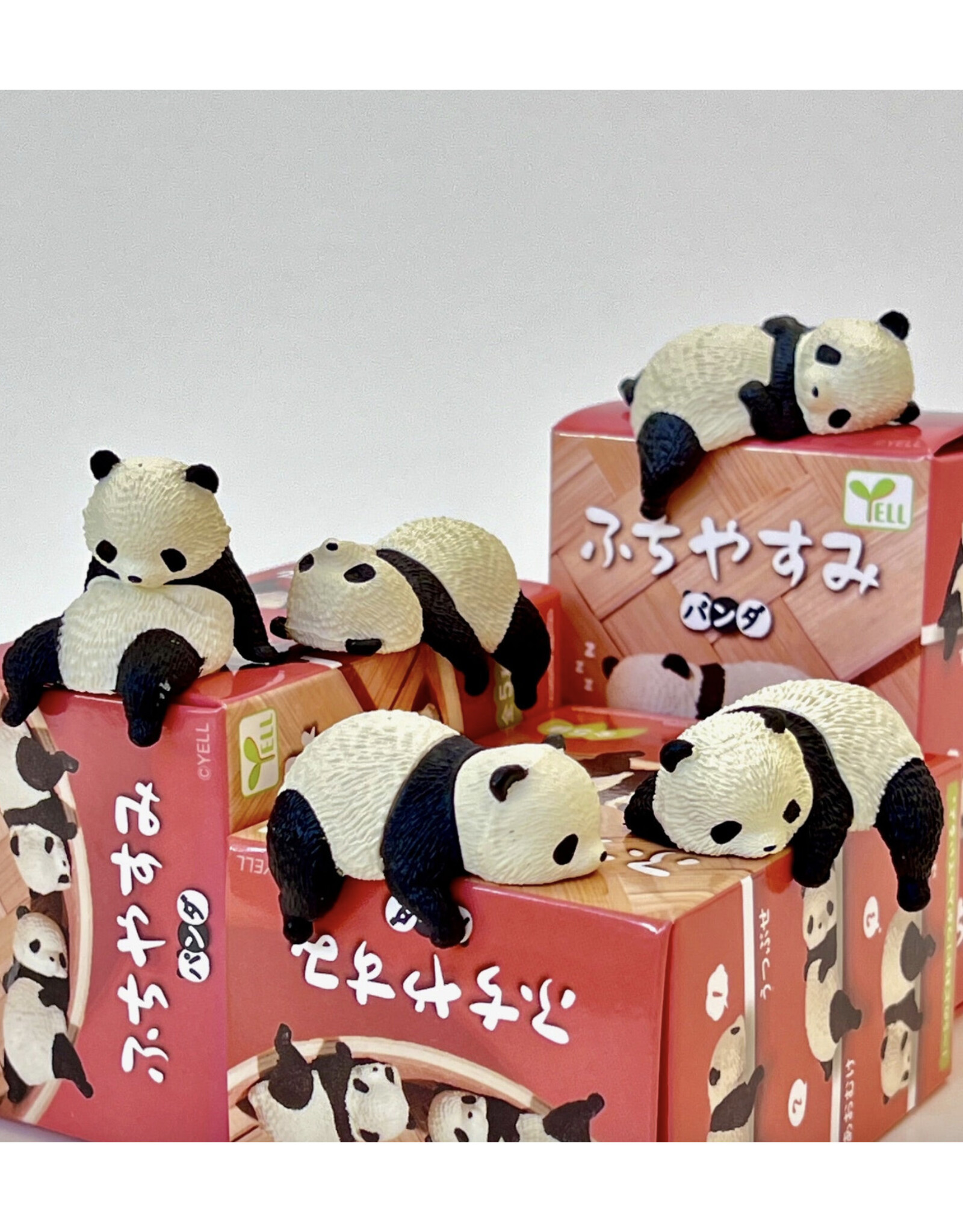 Panda Hanging Blind Box